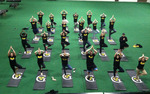 Photo gallery image named: tree-pose.jpg